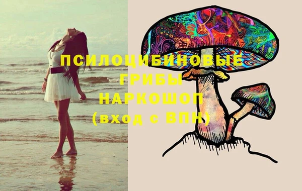 крисы Гусь-Хрустальный