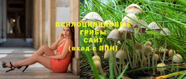 стафф Бронницы