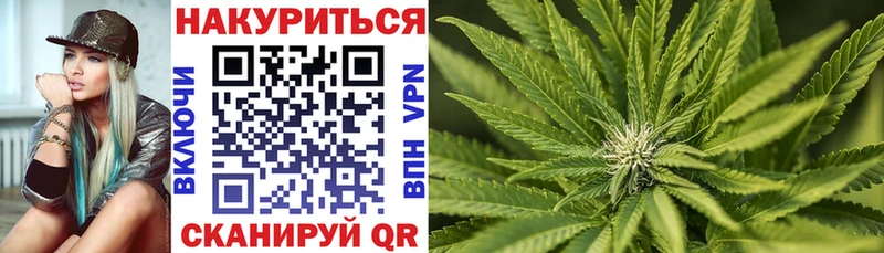 Шишки марихуана Amnesia  как найти наркотики  Емва 